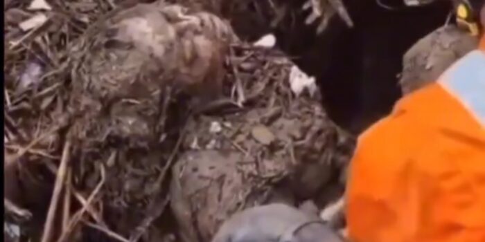 Screenshot_20251204_094726_WhatsApp